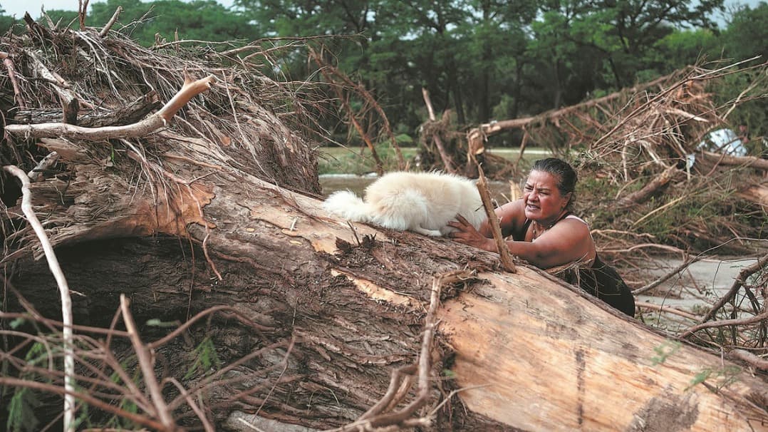 Image for article