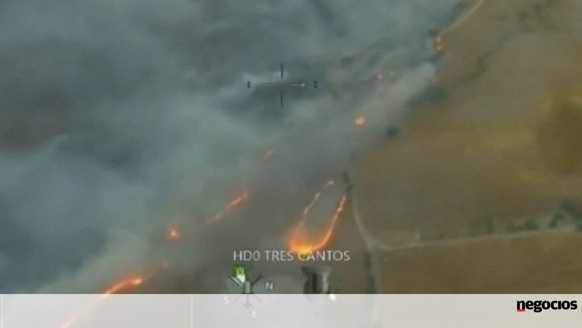 Image for article