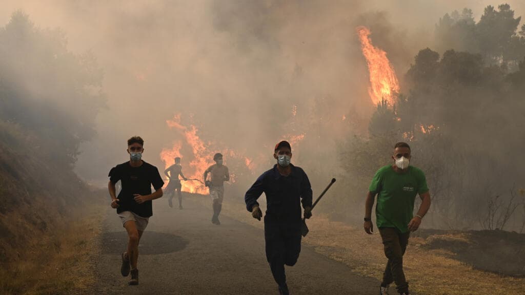 Image for article