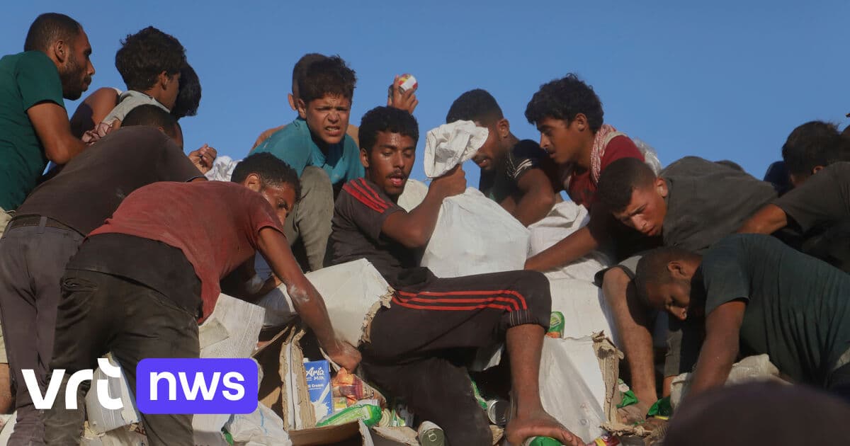 Image for article