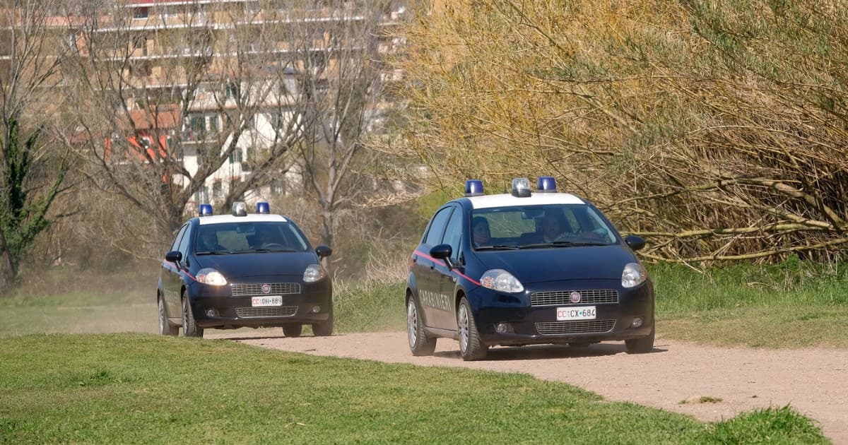 Image for article