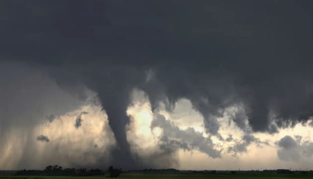 Image for article