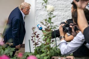 Image for article