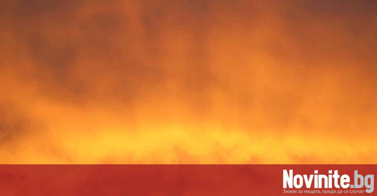 Image for article