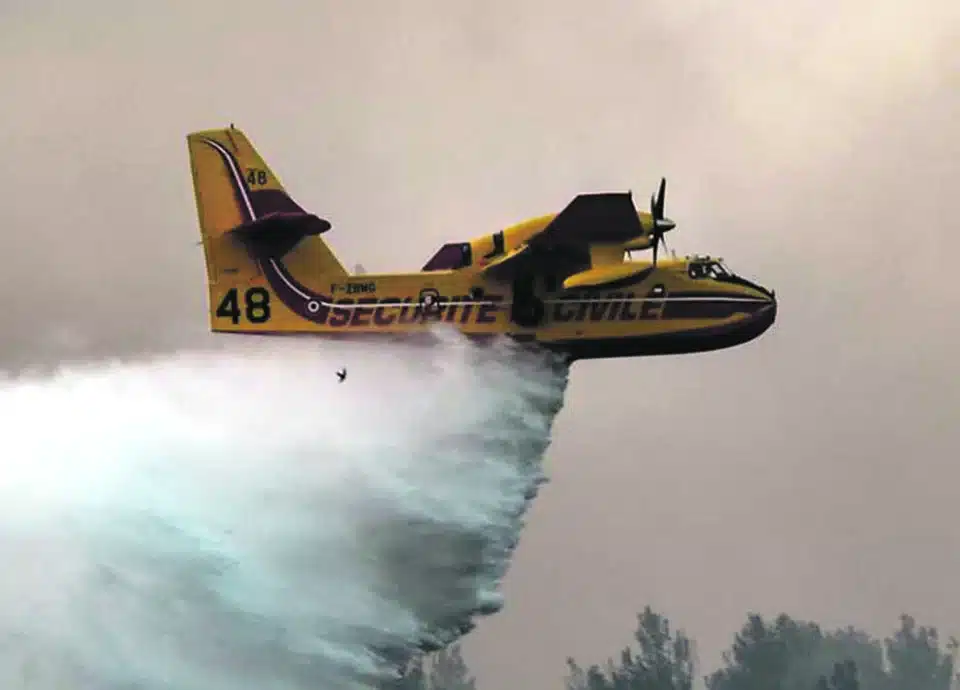 Image for article